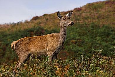 《死或生：女神璀璨假期》暂停时间沙漏介绍 尽情捕捉瞬间